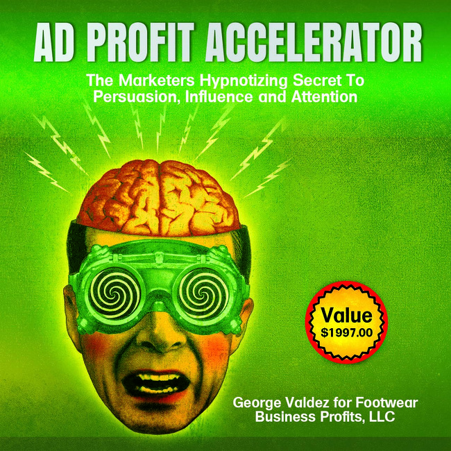 The Ad Profit Accelerator 650x650